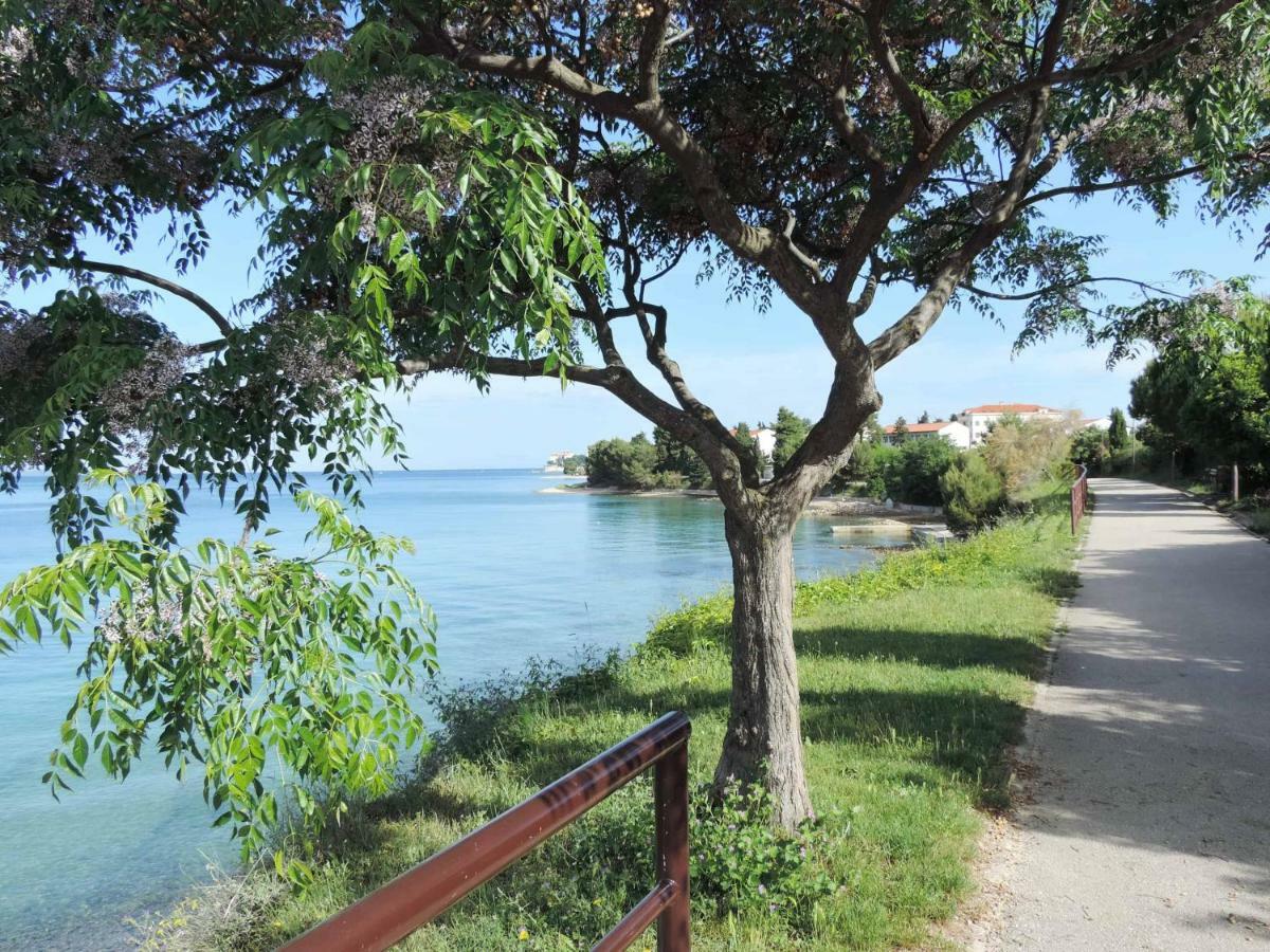 Apartment & Room'S Anni Ζαντάρ Εξωτερικό φωτογραφία